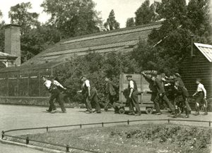 Een team van mannen verplaatst de luipaard in een houten krat, gevolgd door twee jongens, London Zoo, 1922 door Frederick William Bond